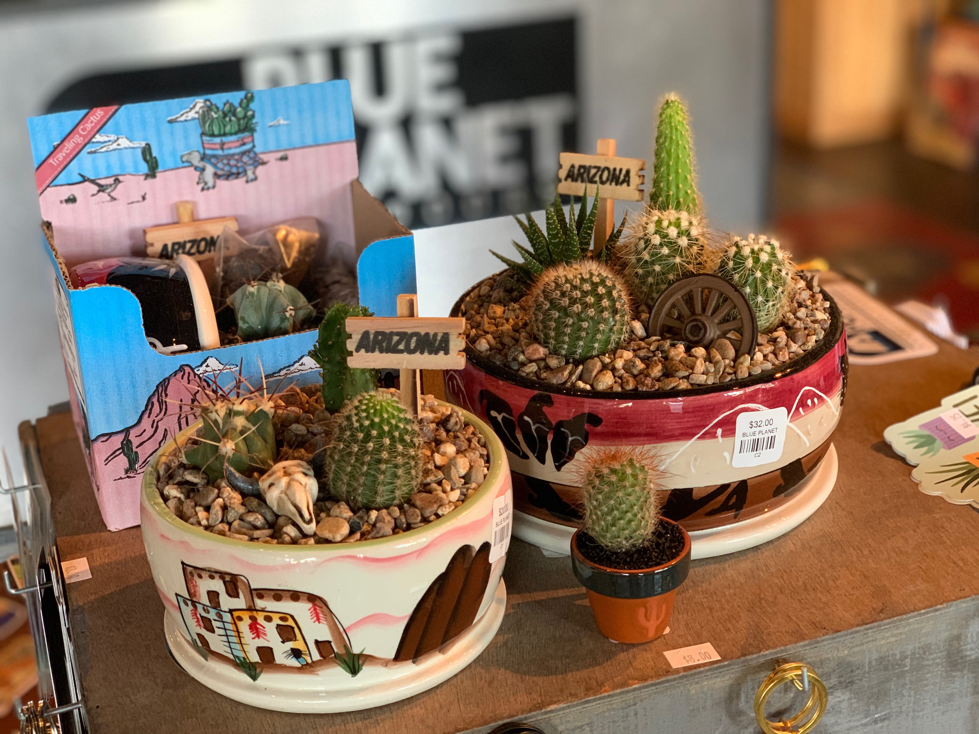 Gardening & Plants