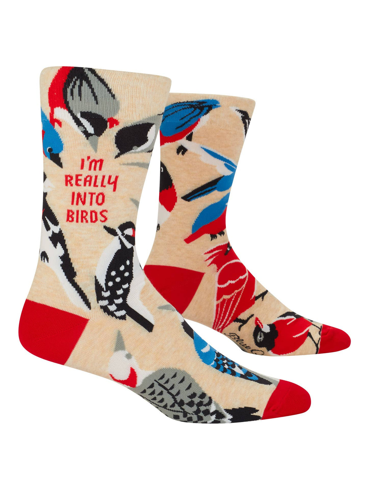 I'm Really Into Birds Men's Socks