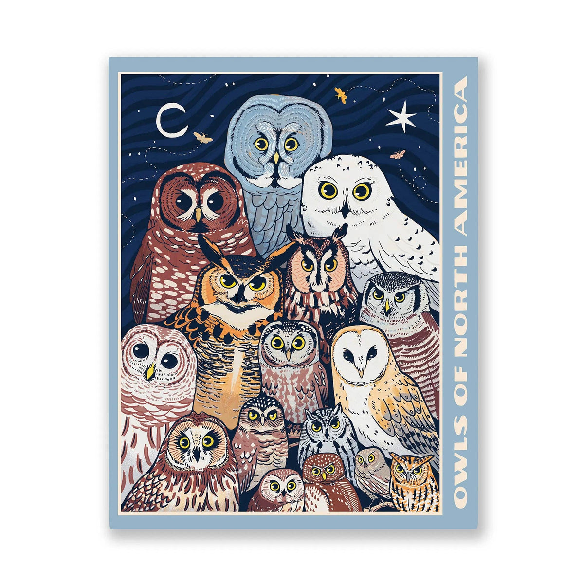 Owls of North America puzzle box art showing a cluster of owls on a dark night sky with Bird Collective branding.