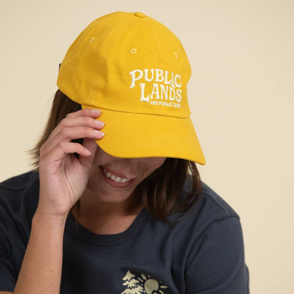 Public Lands Dad Hat