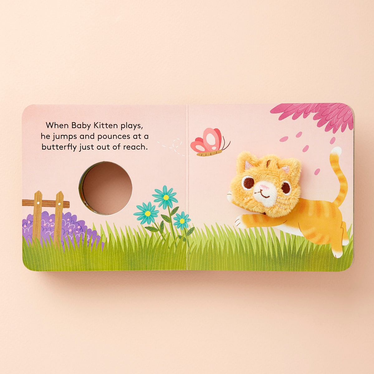 Baby Kitten Board Book