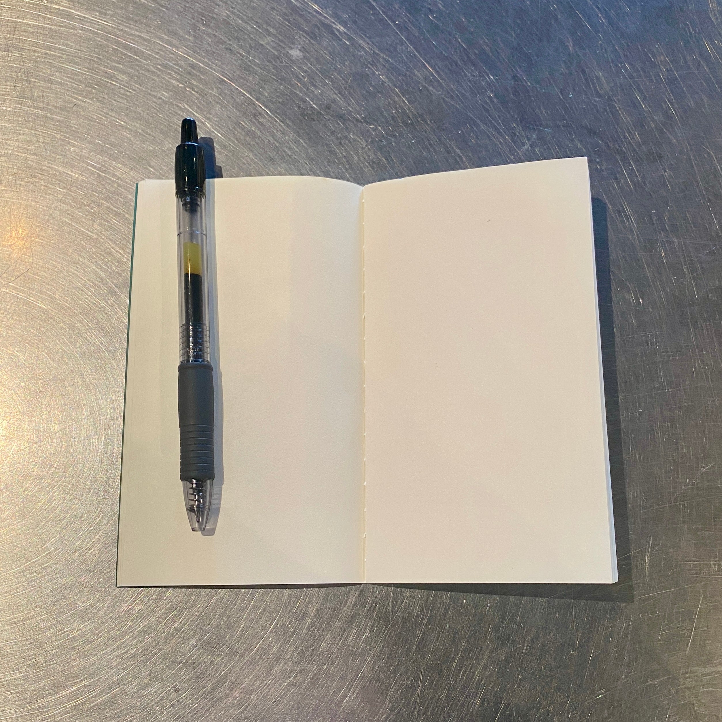 Foil Embossed Saguaro Mini Saddle Stitch Notebook