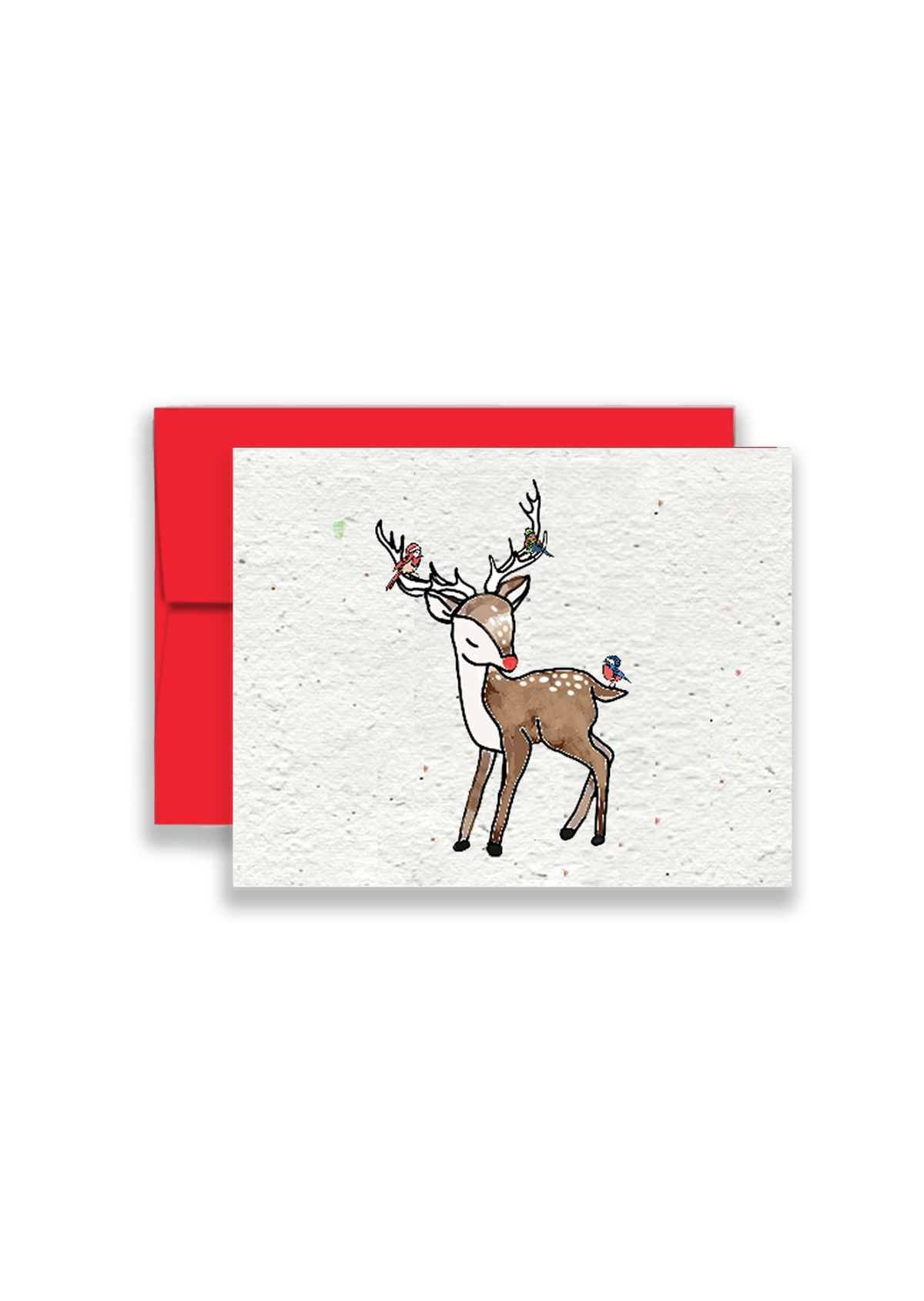 Red-Nosed Reindeer Christmas Seed Holiday Card