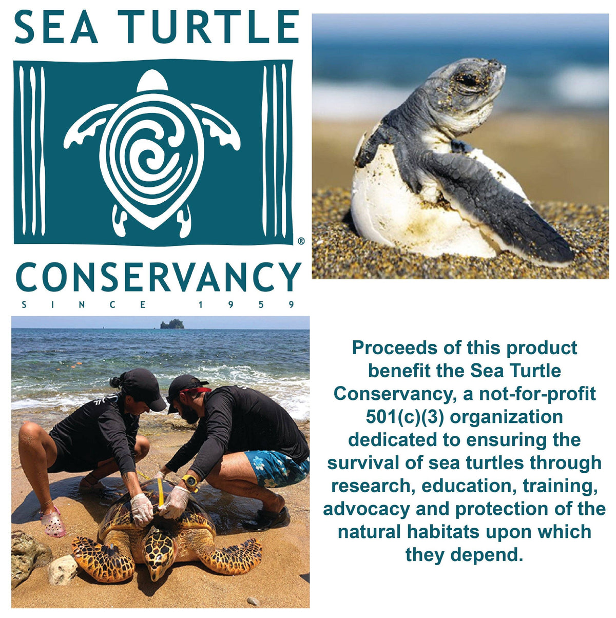 Wildlife Rescue - Hatching Sea Turtle Plush