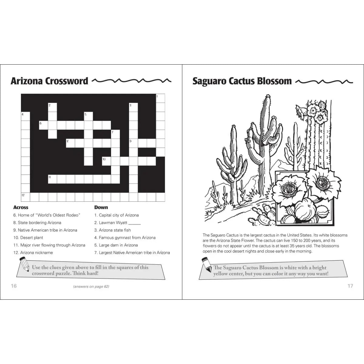 Arizona Activity Book