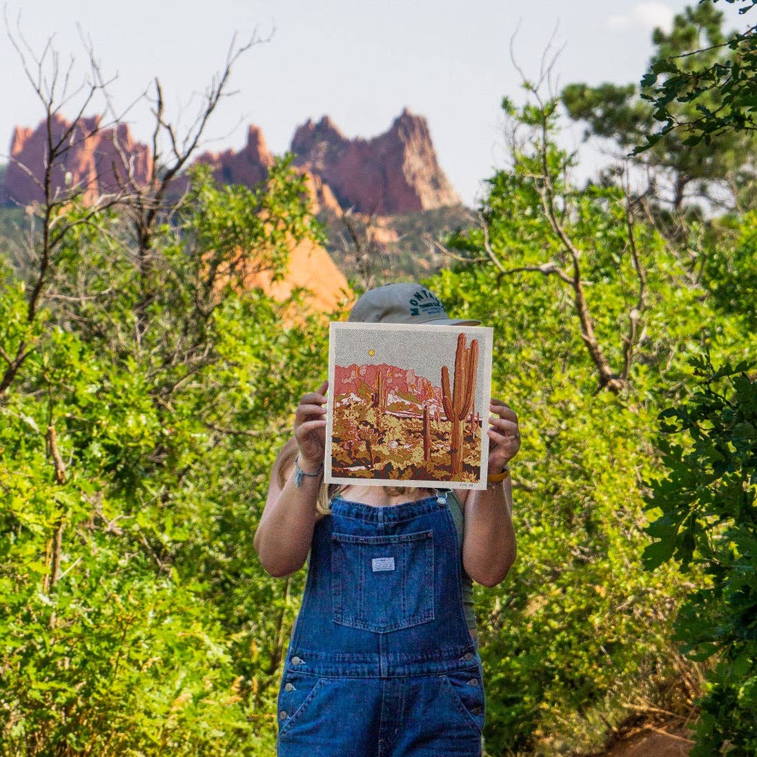 Superstition Mountains Art Print