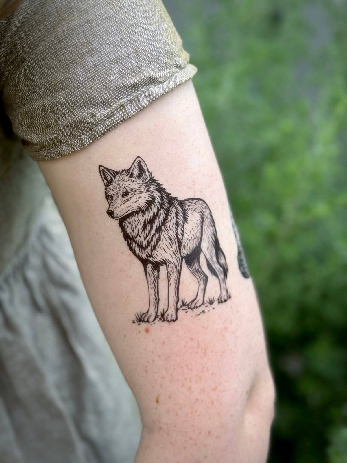 Wild Wolf Temporary Tattoo