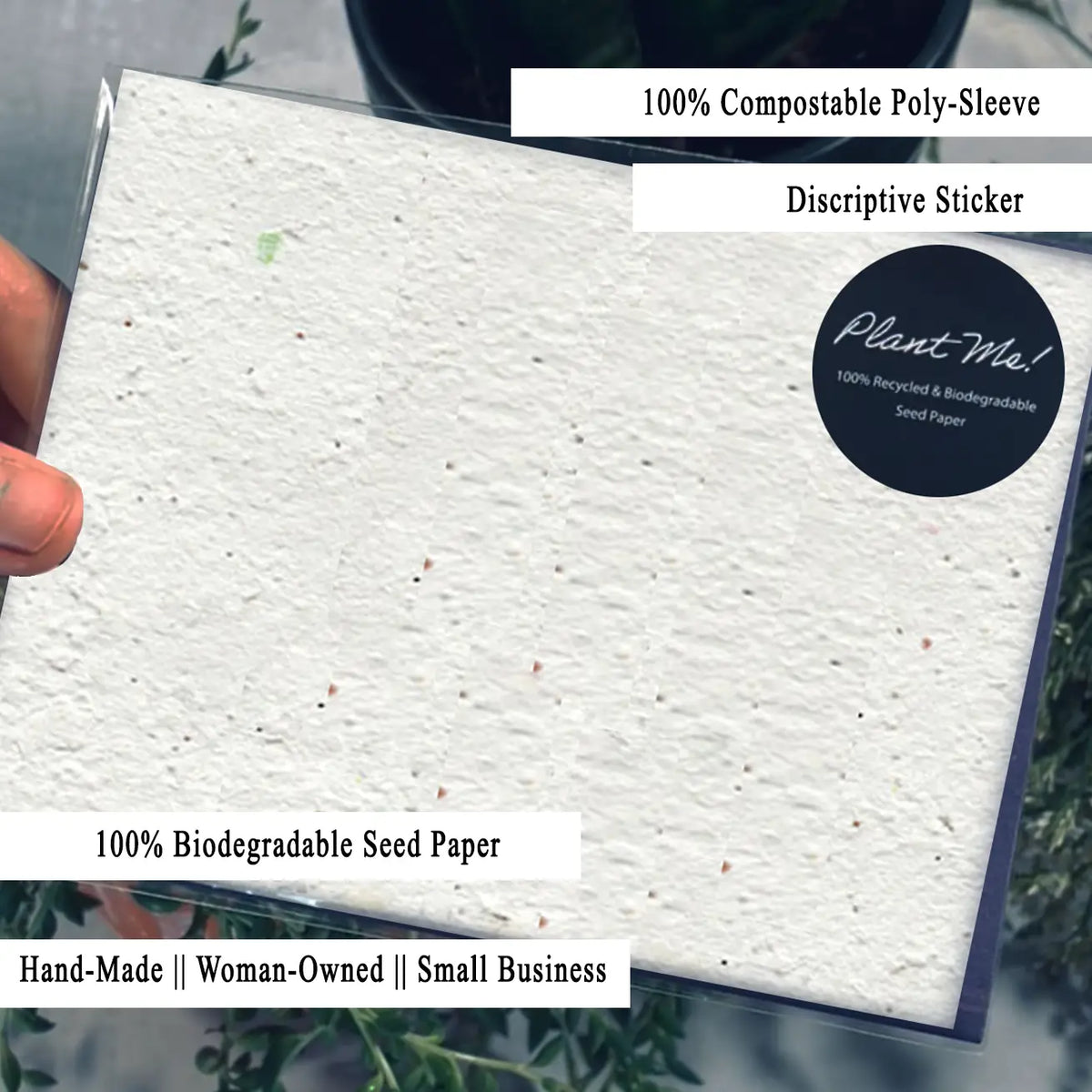 White textured seed paper card held in a hand with a dark circular Plant Me sticker.