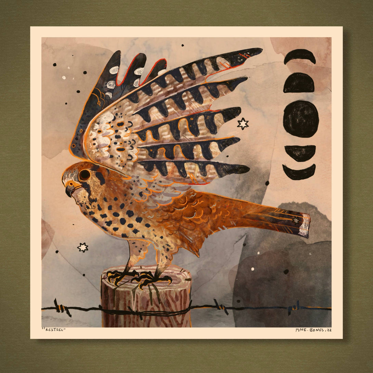 Kestrel - 8x8 Nature Wilderness Art Print