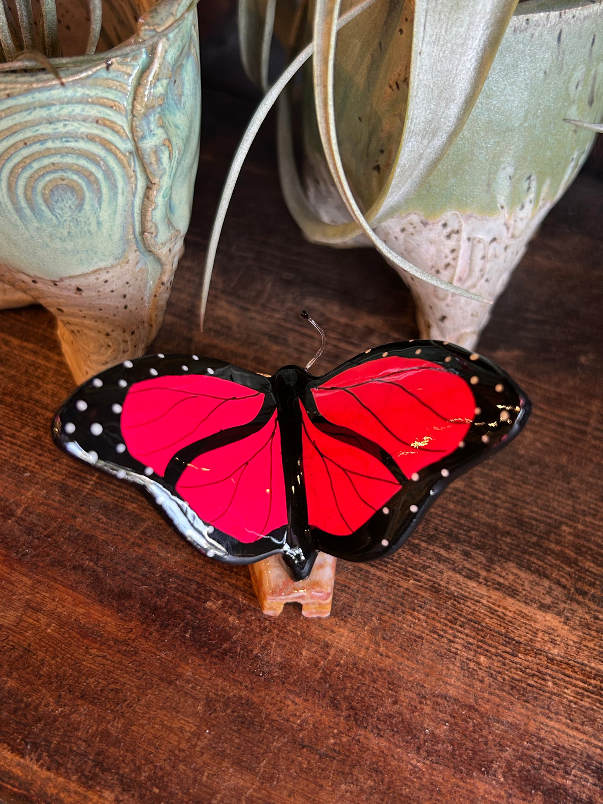 Monarch Butterfly 4