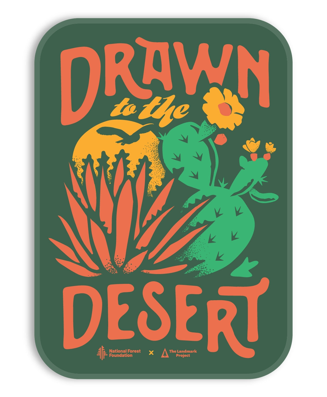 Drawn to the Desert