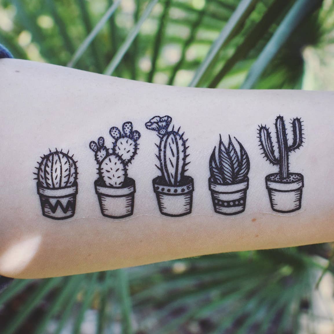Potted Cacti Temporary Tattoo