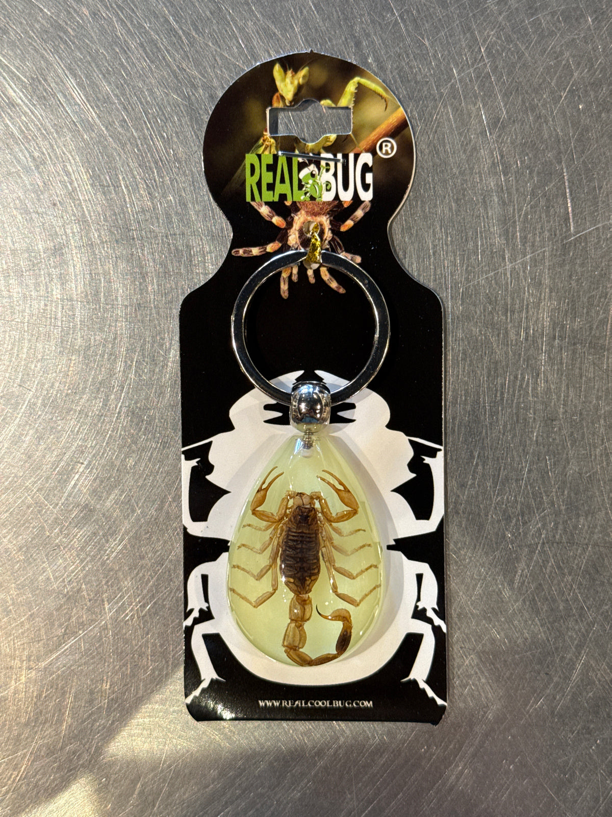 Golden Scorpion Tear Drop Keychain