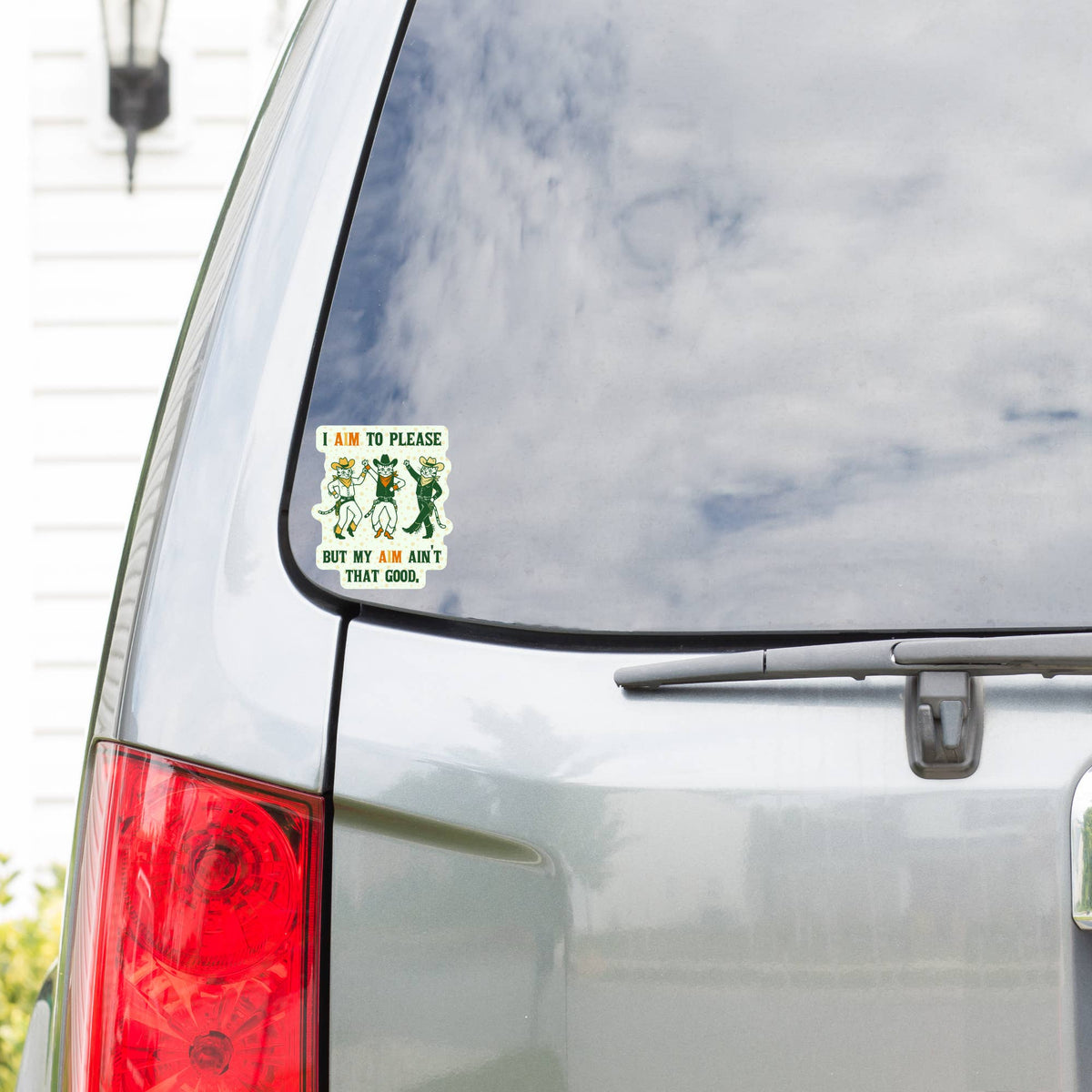I Aim to Please Kitty Sticker