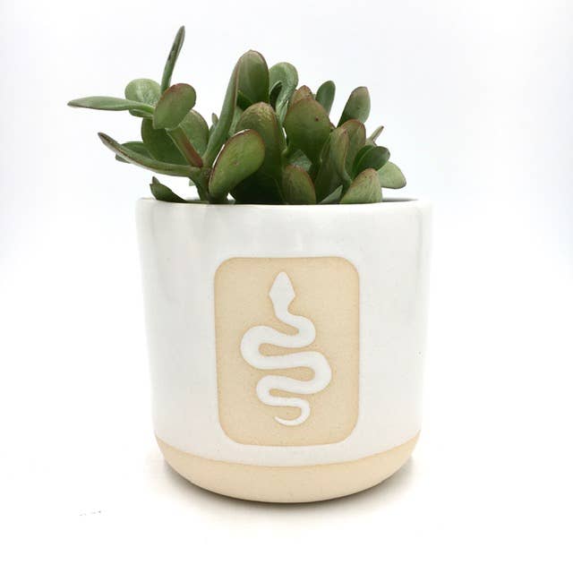 Medium Snake Clay Planter