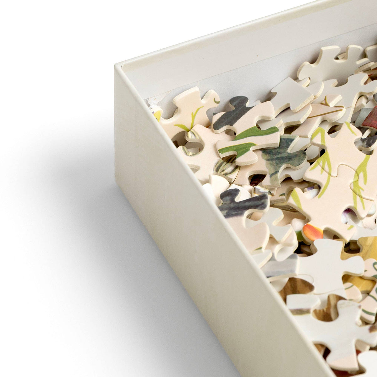 Feathered Friends - 1,000 Piece Bird Puzzle