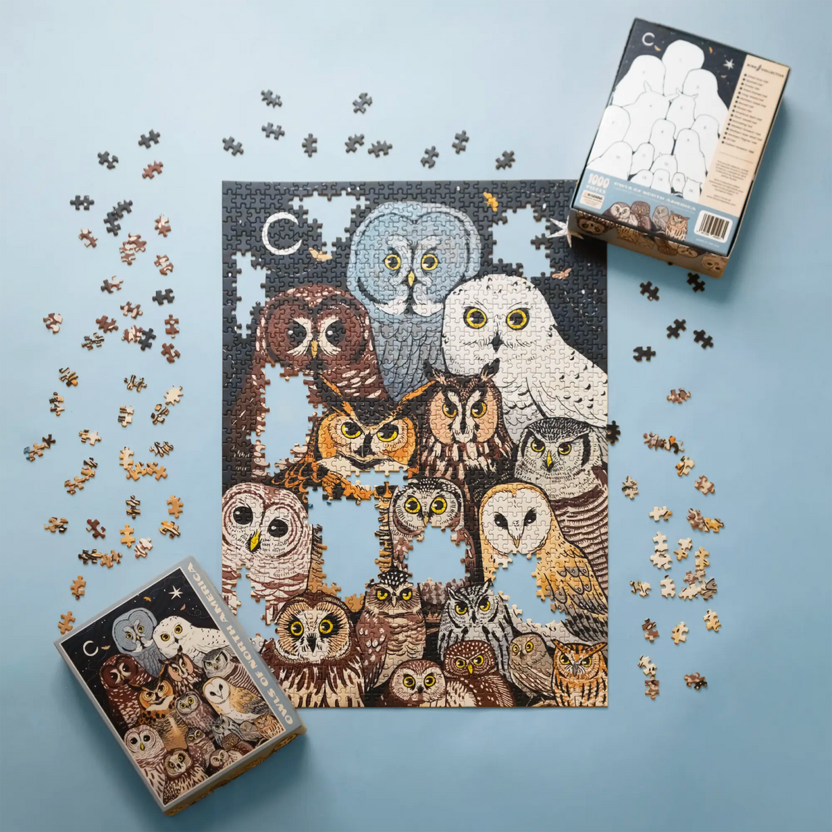 Owls of North America Puzzle