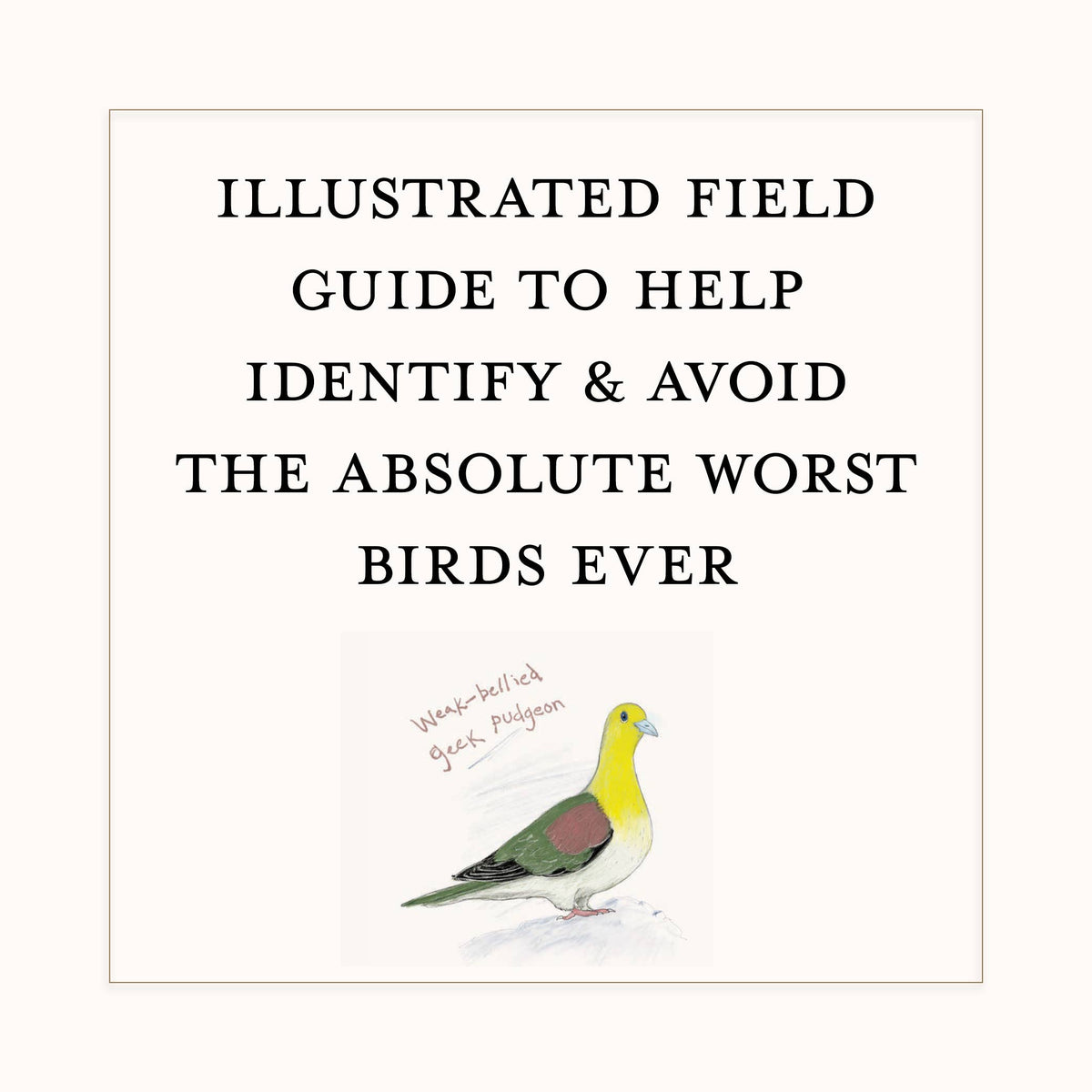Dumb Birds Field Guide to the Worst Birds Ever Book
