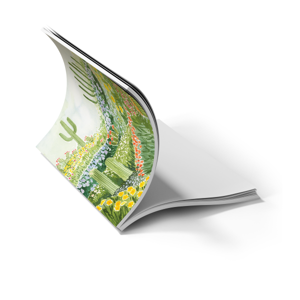Desertscape Medium Layflat Notebook