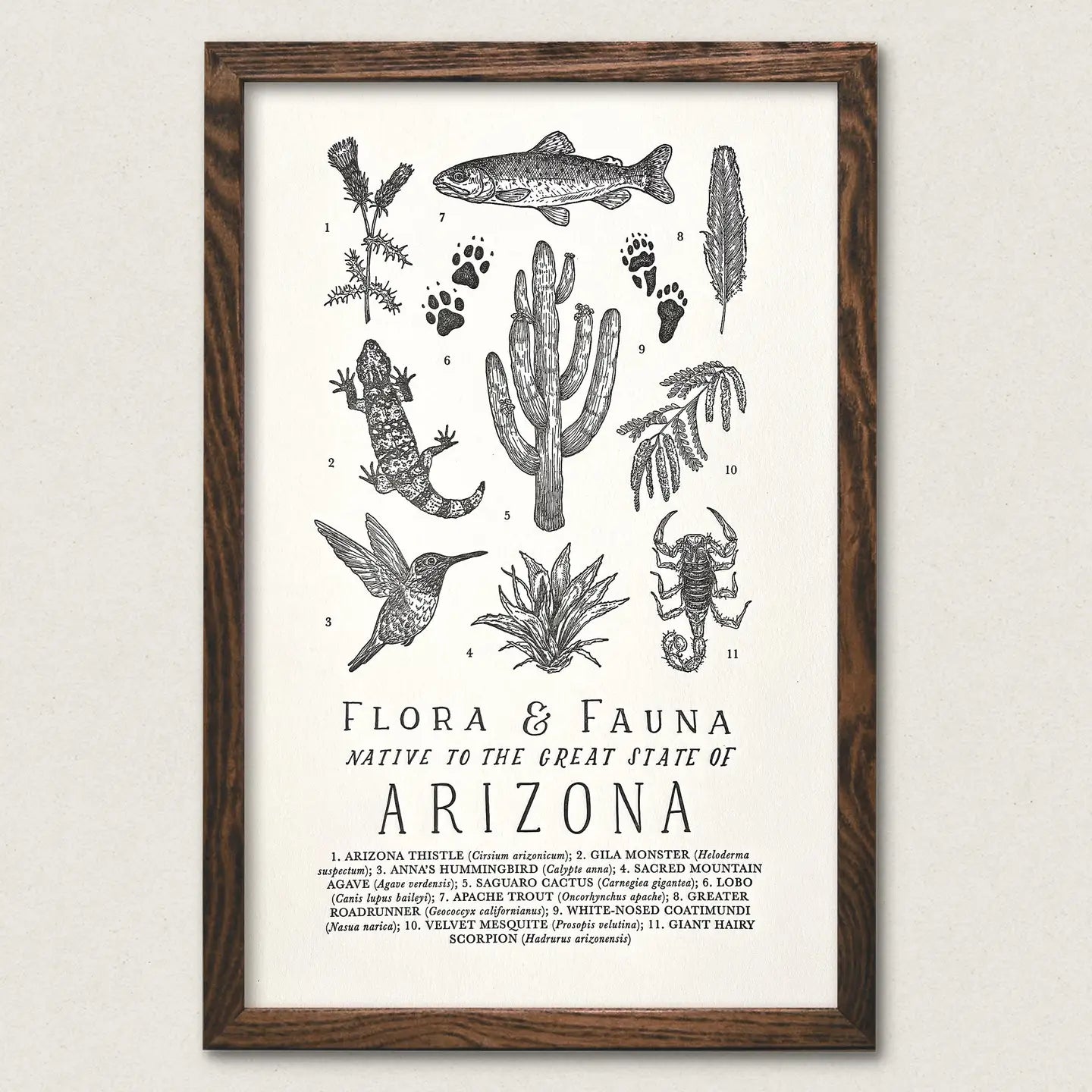 Arizona Field Guide Print - 11 x 17