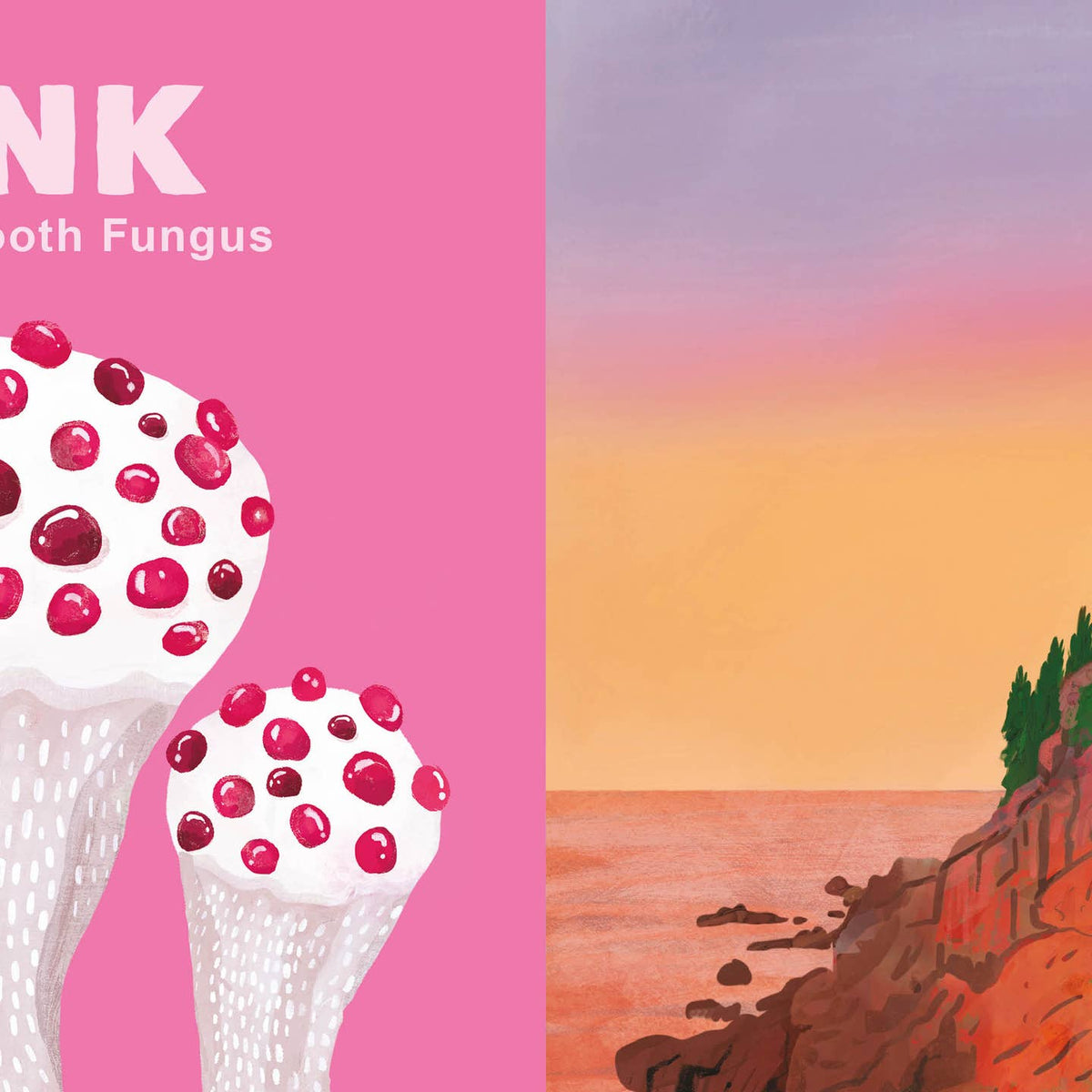 Colors of the National Parks Board Book