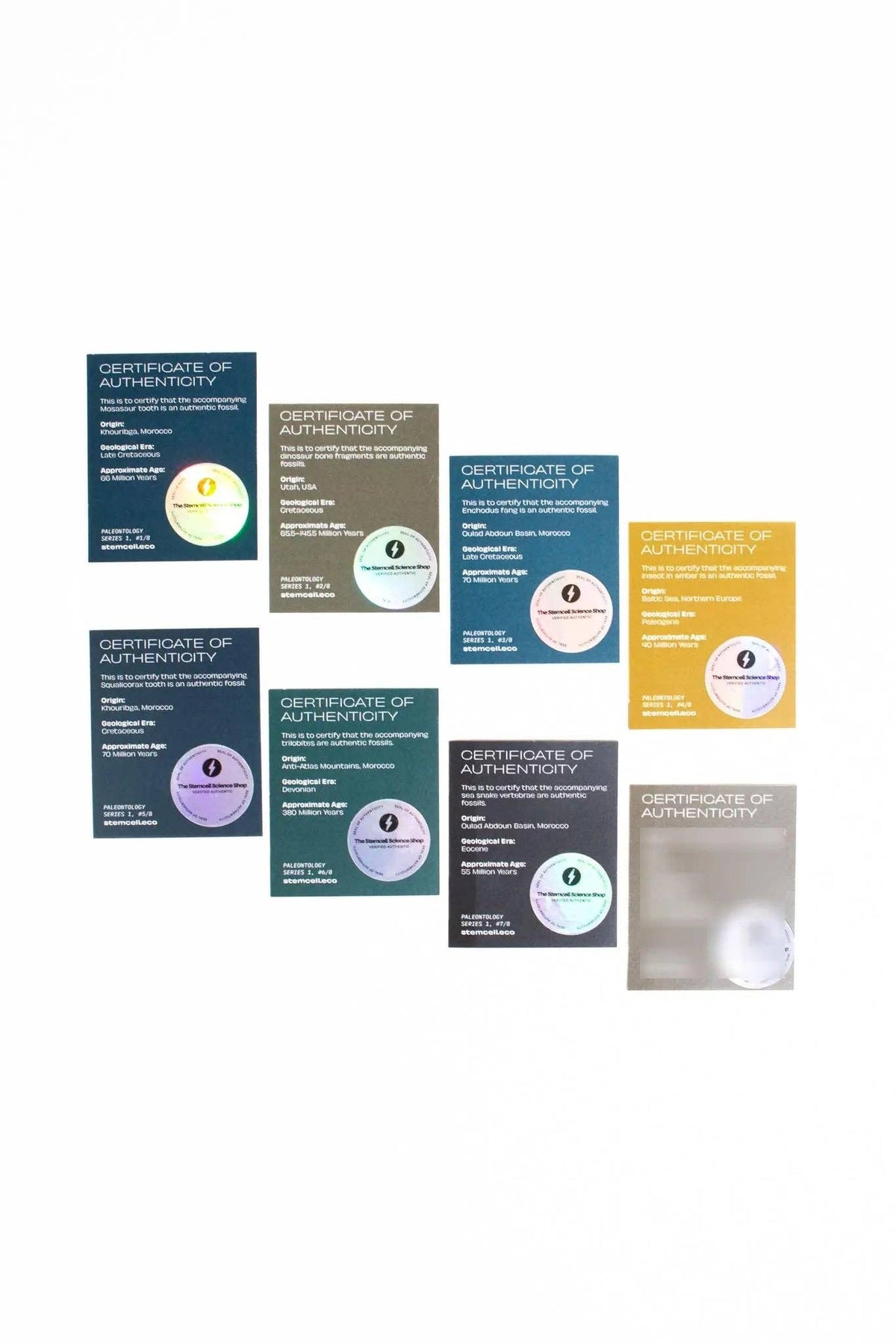 Assorted Certificate of Authenticity cards in blue brown teal and yellow arranged in a row.