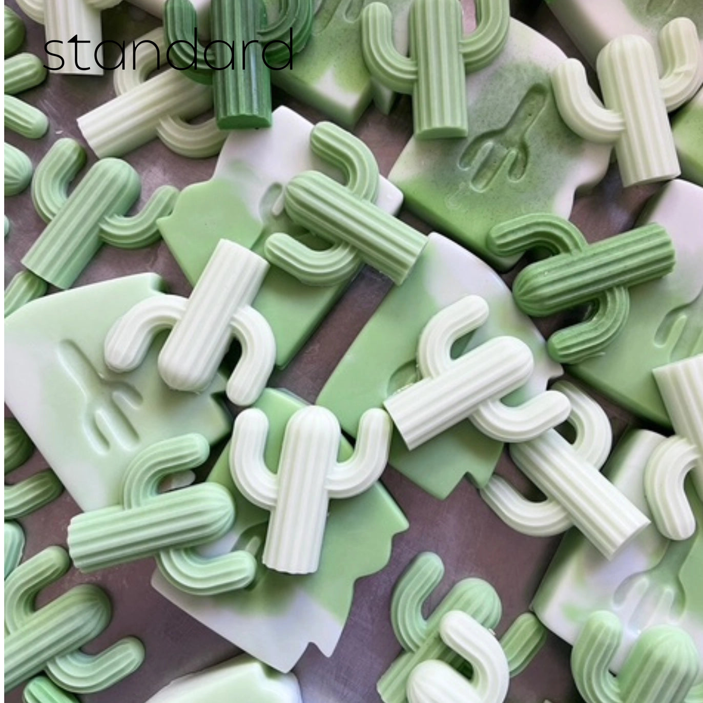 Mini Cactus Soap Trio