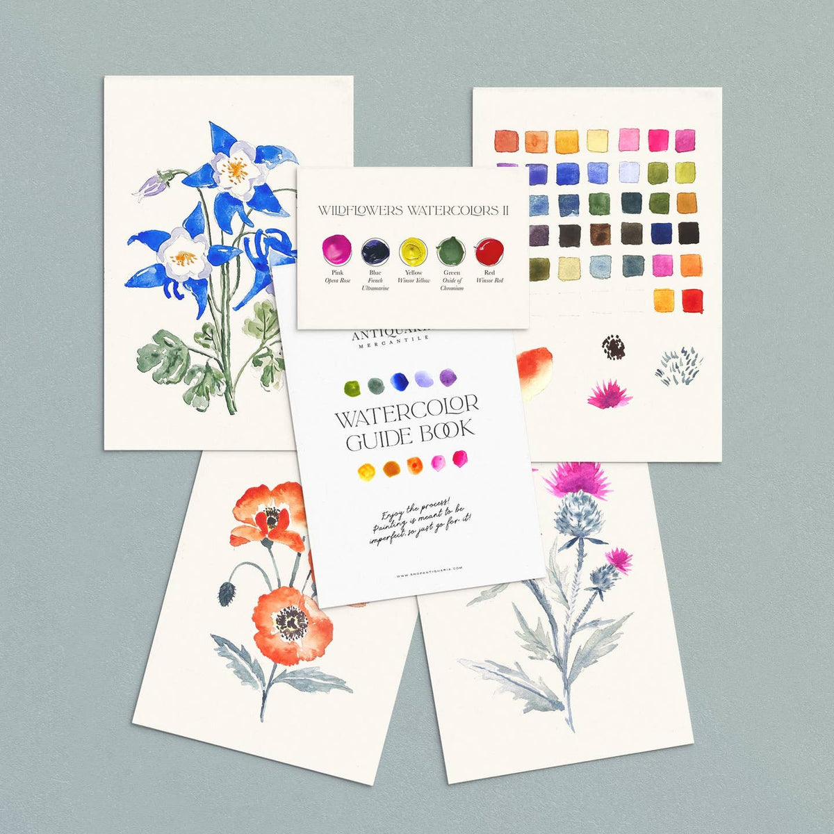Watercolor Kit - Wildflowers No. 2