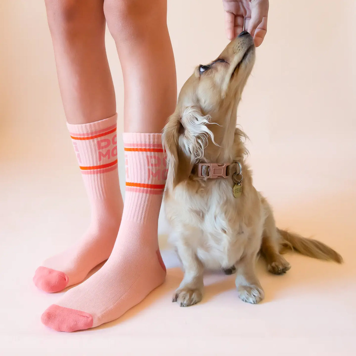 Person wearing pink ribbed crew socks with DOG MOM text while a dog sits at their feet and looks up
