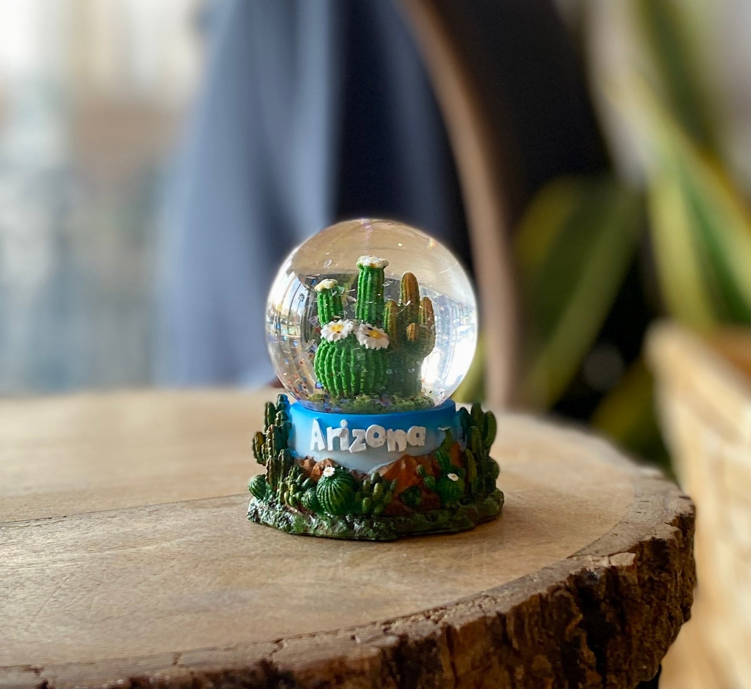 succulent snow globe Arizona Cactus Mini Glitter Globe