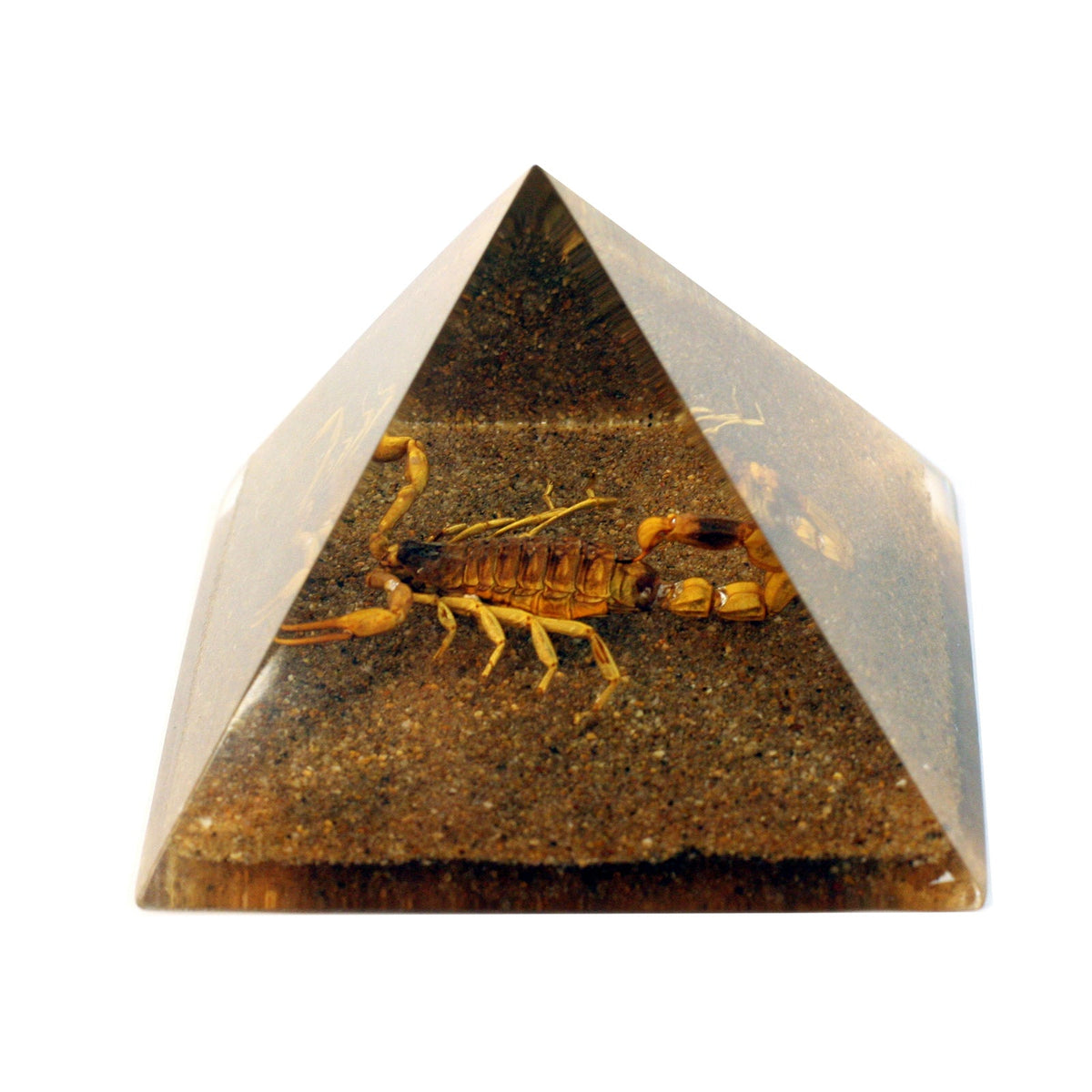 Real Gold Scorpion Pyramid With Sand Base