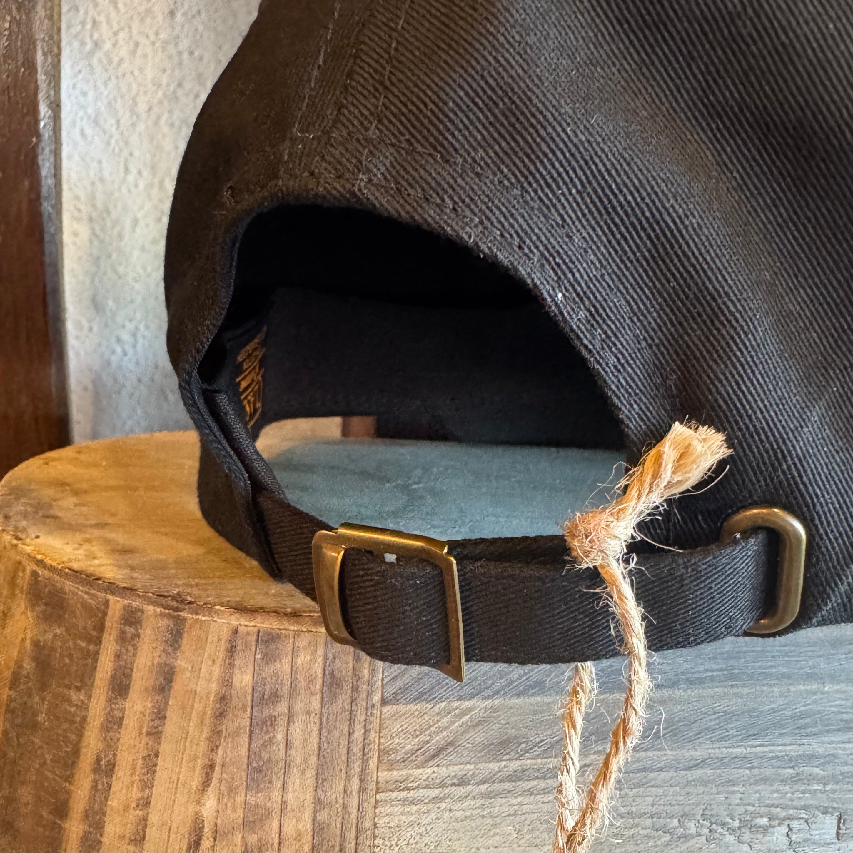 Earthwild Protect Our Public Lands Dad Hat