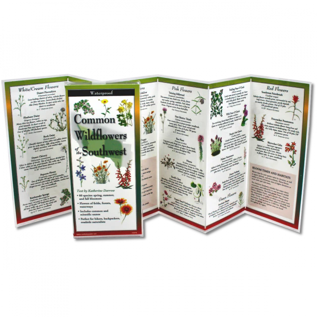 Wildflowers of the Southwest Waterproof Guide