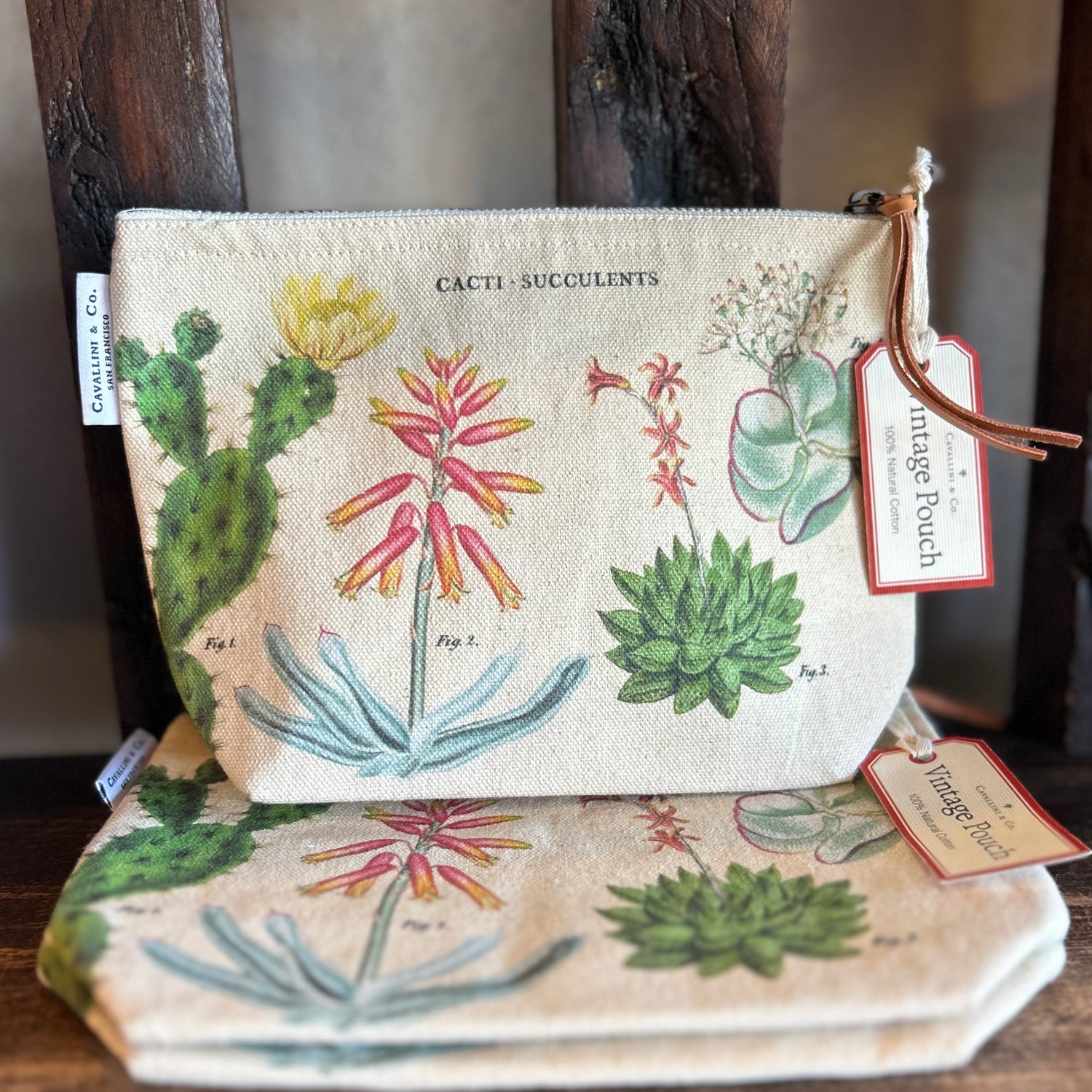 Cacti • Succulents Vintage Pouch