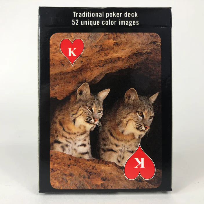 Beauty of the Southwest Playing Cards