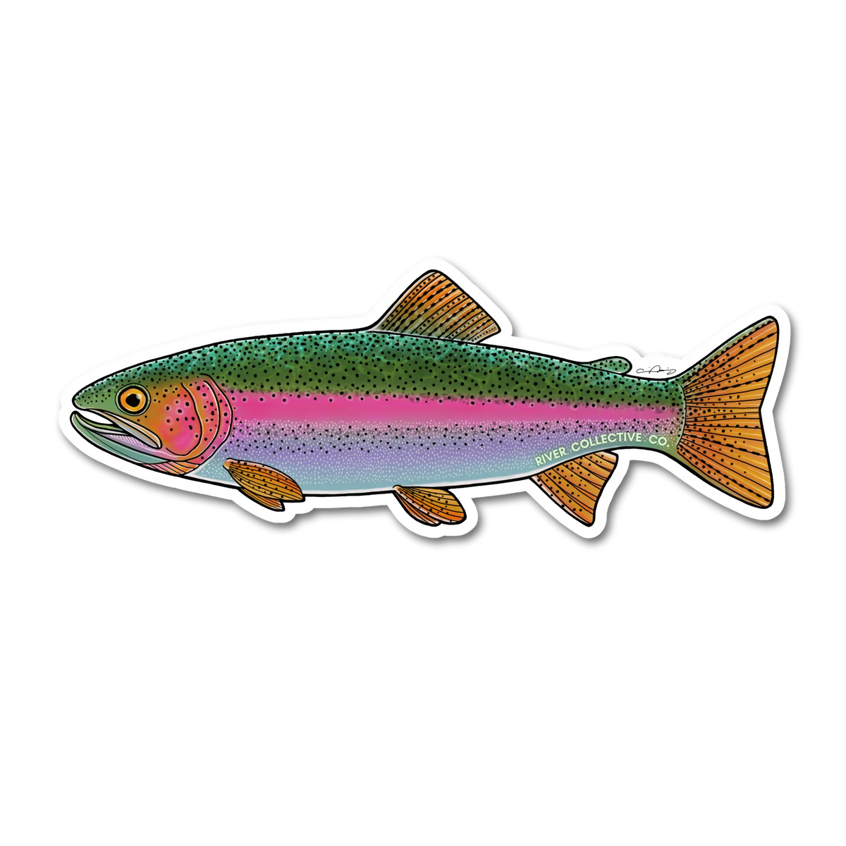 Juvenile Rainbow Trout Sticker