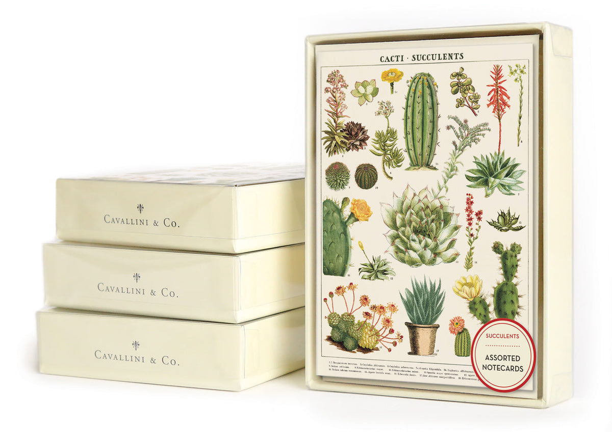 Cacti & Succulents Boxed Notecard Set