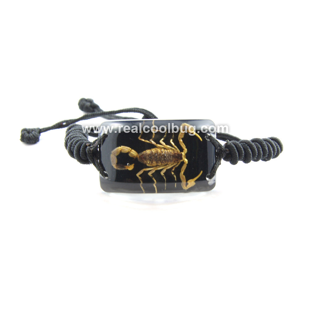 Golden Scorpion Bracelet