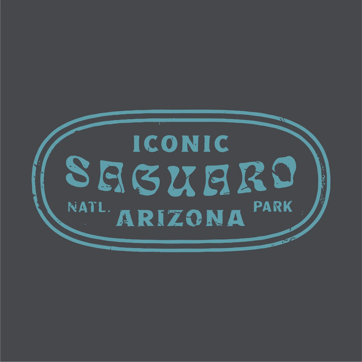Saguaro National Park Ladies Boxy Crop