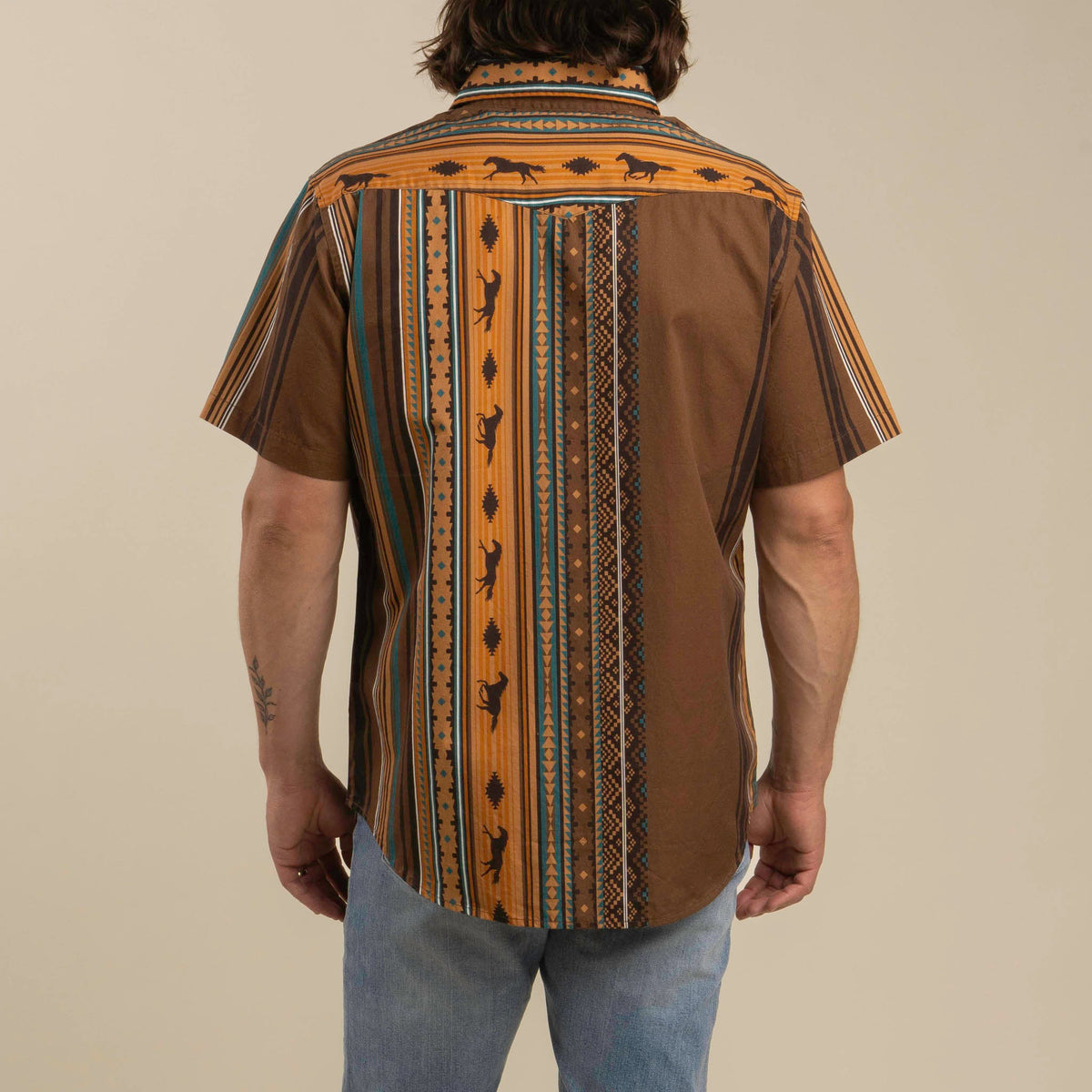 Serape Pearl Snap Button Up - Western Stripe
