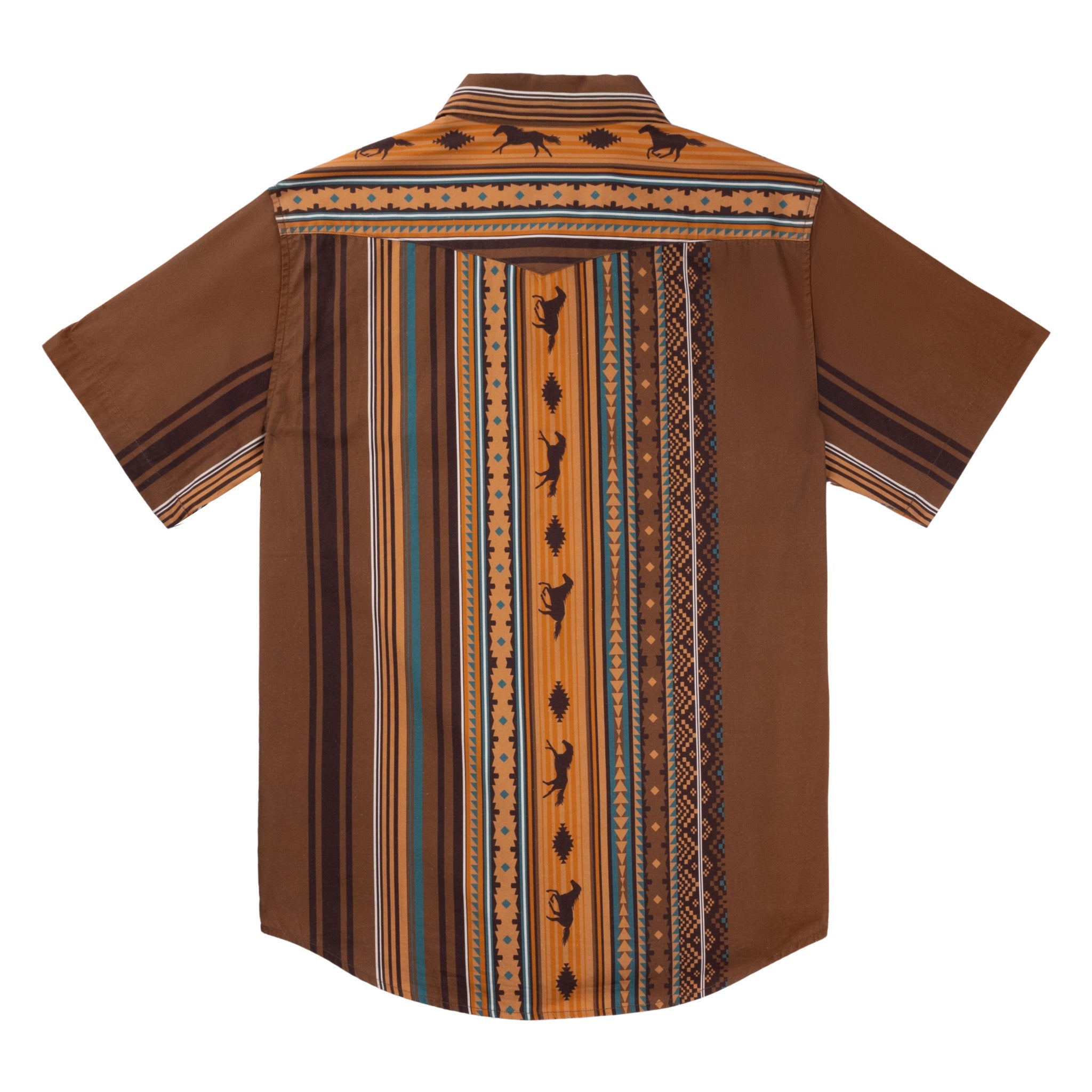 Serape Pearl Snap Button Up - Western Stripe