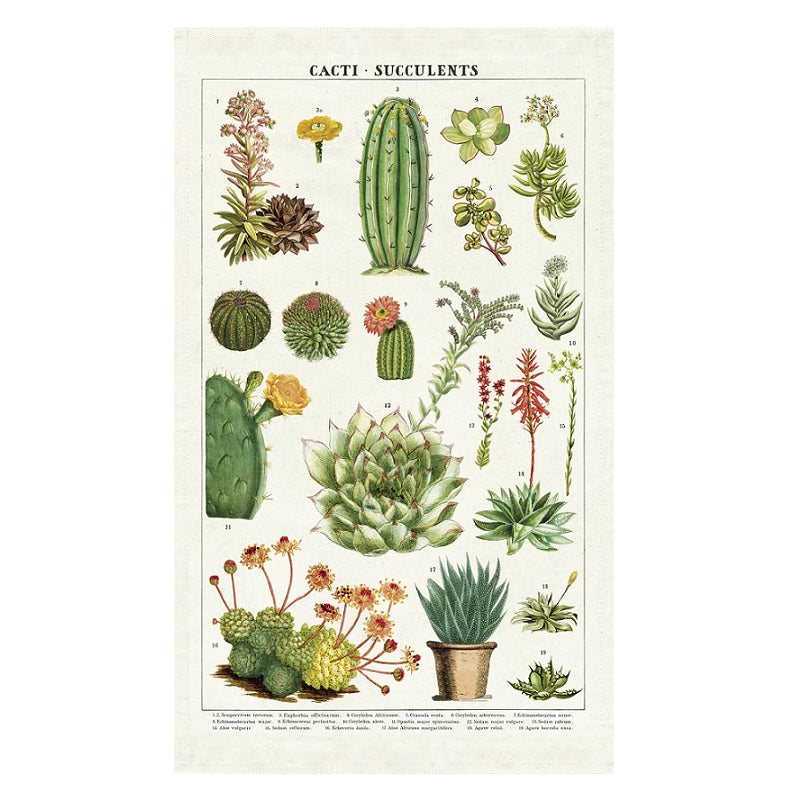 vintage succulent prints Cavallini & Co. Tea Towel