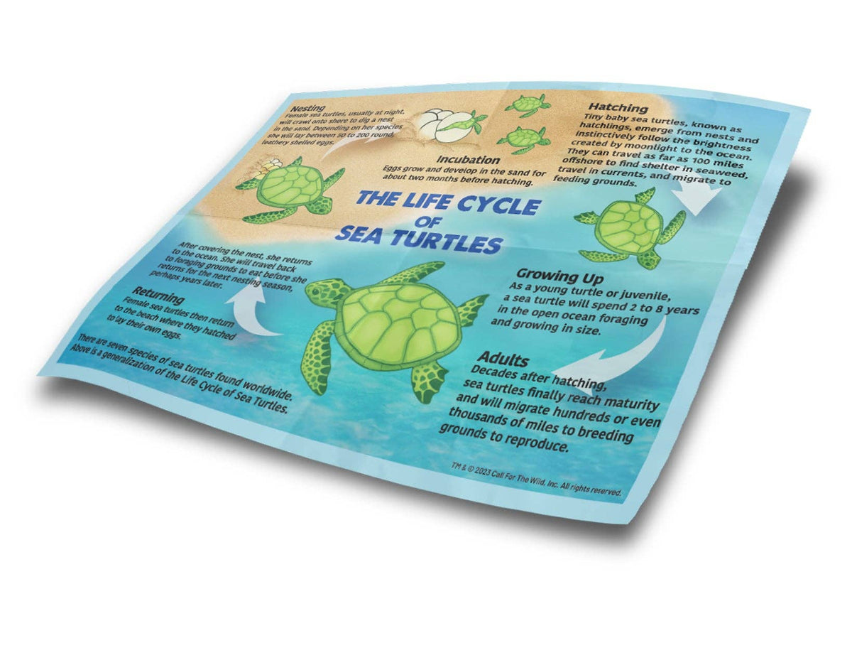 Wildlife Rescue - Hatching Sea Turtle Plush