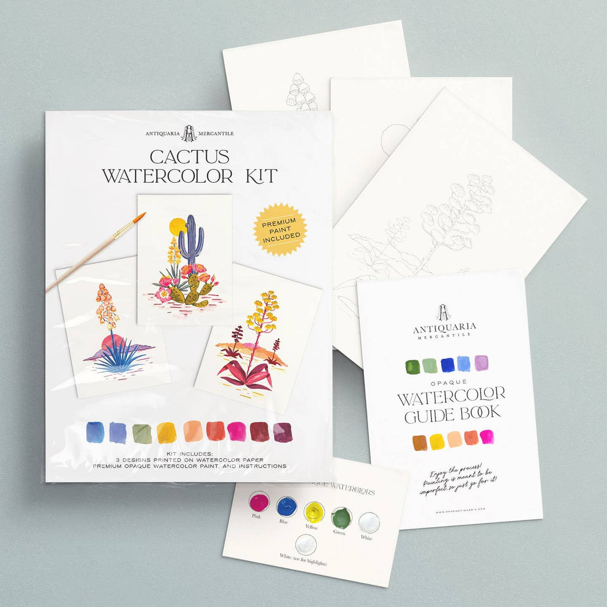 Watercolor Kit - Cactus