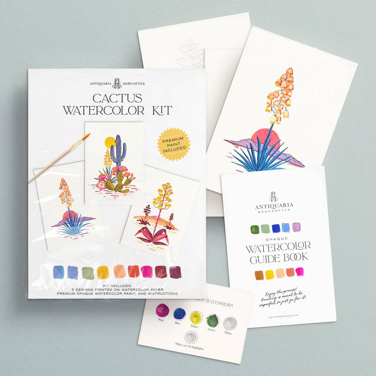 Watercolor Kit - Cactus