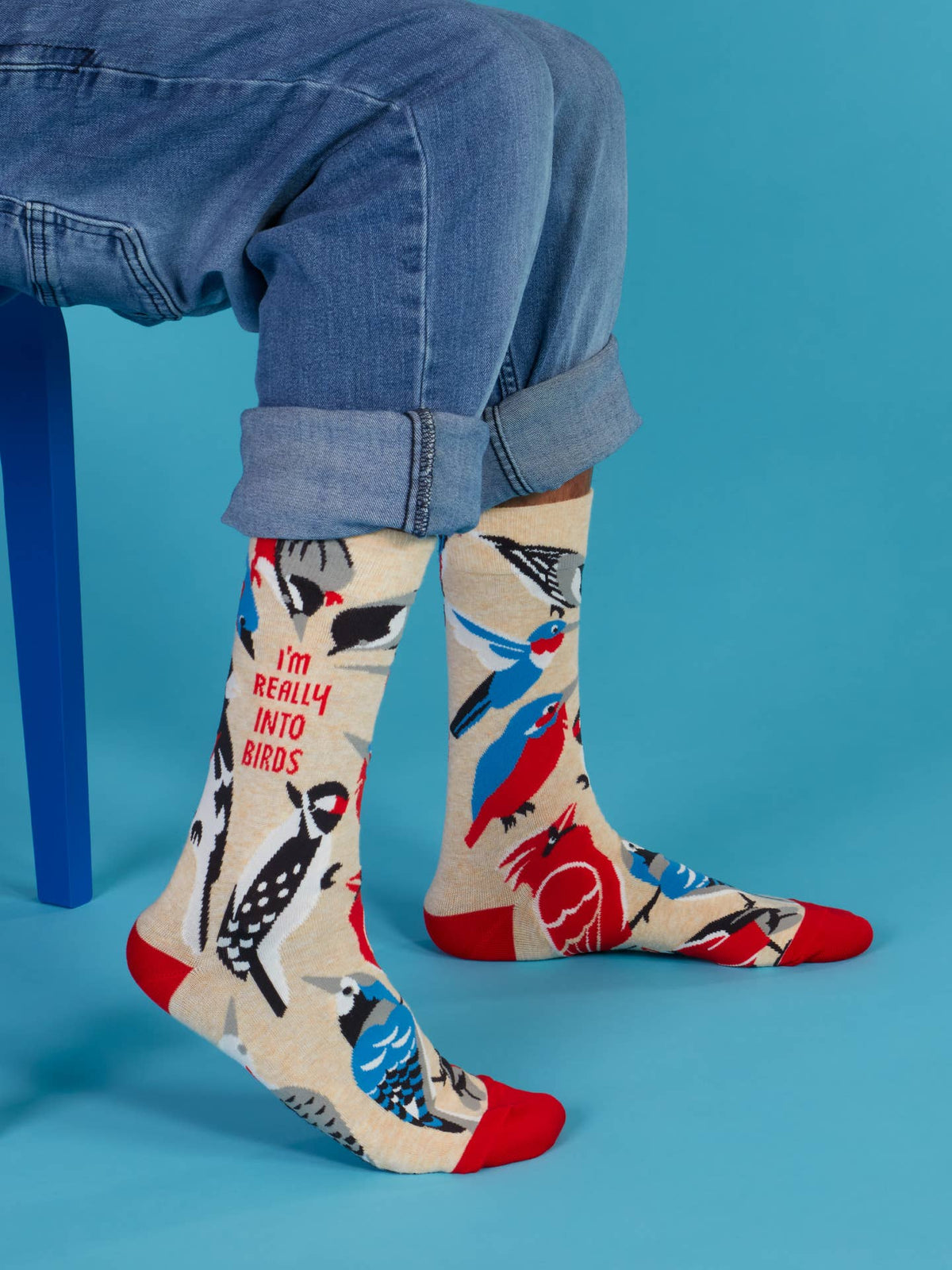 I'm Really Into Birds Men's Socks