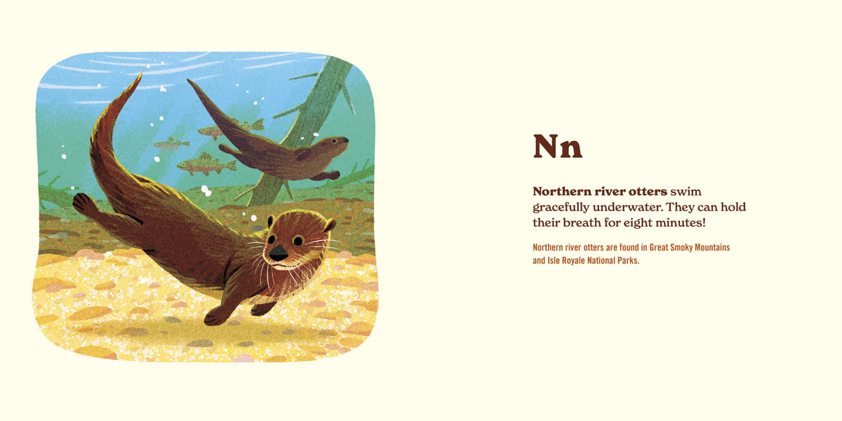 Northern river otters swim underwater among rocks and fish.