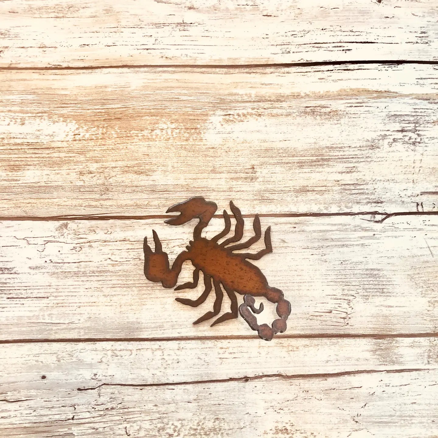 Scorpion Rustic Magnet