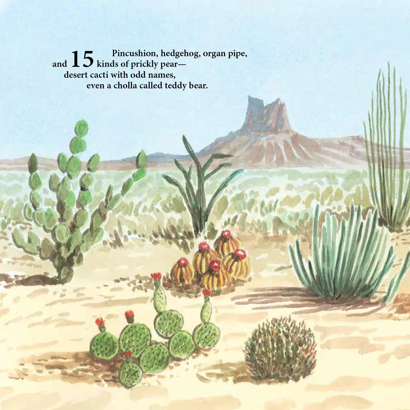 Desert Digits: An Arizona Number Book