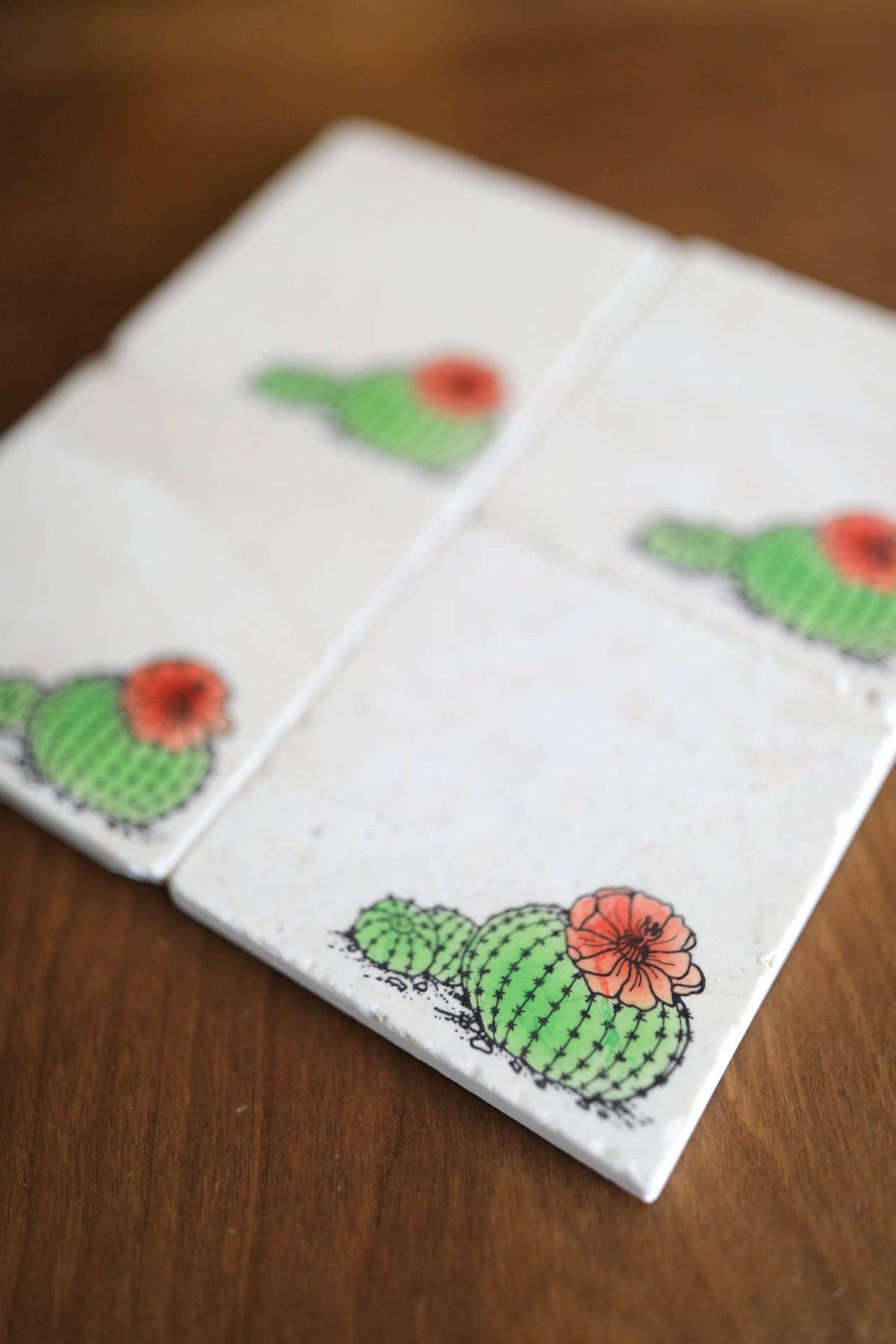 Barrel Cactus Marble Coaster
